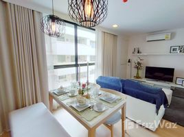 2 Bedroom Apartment for sale at Liv At 49, Khlong Tan Nuea, Watthana