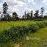  Land for sale in Thailand, Kut Phia Khom, Chonnabot, Khon Kaen, Thailand