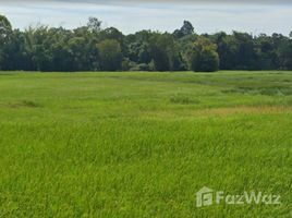  Land for sale in Pao, Trakan Phuet Phon, Pao