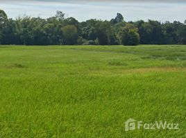  Land for sale in Ubon Ratchathani, Pao, Trakan Phuet Phon, Ubon Ratchathani