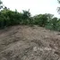  Land for sale in Nong Han Udon Thani, Nong Han, Nong Han, Udon Thani