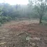 ขายที่ดิน ใน นาซำ, เพชรบูรณ์, นาซำ, หล่มเก่า
