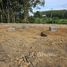  Земельный участок for sale in Pa Khlok, Пхукет, Pa Khlok, Тхаланг, Пхукет