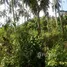  Grundstück zu verkaufen in Selong Belanak, Lombok, Selong Belanak, Lombok Tengah