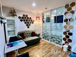 คอนโด 1 ห้องนอน ให้เช่า ในโครงการ รีเจ้นท์ โฮม สุขุมวิท 81, สวนหลวง