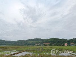  Terreno (Parcela) en venta en Chiang Dao, Chiang Mai, Chiang Dao, Chiang Dao