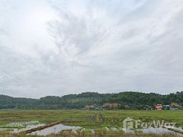  Grundstück zu verkaufen in Chiang Dao, Chiang Mai, Chiang Dao, Chiang Dao