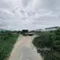  Land for sale in Sai Noi, Nonthaburi, Sai Noi, Sai Noi, Nonthaburi