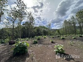  Terreno (Parcela) en venta en Costa Rica, Nicoya, Guanacaste, Costa Rica