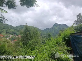 在Shan出售的 土地, Kalaw, Taunggye, Shan