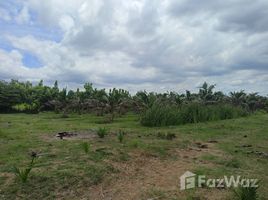  Grundstück zu verkaufen in Ban Pong, Ratchaburi, Nong O