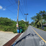  Land for sale in Thalang Phuket, Pa Khlok, Thalang, Phuket