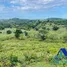 Terrain à vendre à Imbert, Puerto Plata, Imbert