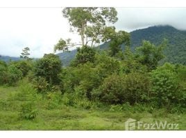  Land for sale in Costa Rica, Golfito, Puntarenas, Costa Rica
