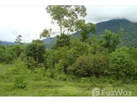  Земельный участок for sale in Golfito, Puntarenas, Golfito