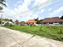 ขายที่ดิน ใน ป่าตัน, เชียงใหม่, ป่าตัน, เมืองเชียงใหม่, เชียงใหม่, ไทย