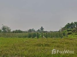  Grundstück zu verkaufen in San Pa Tong, Chiang Mai, Thung Satok