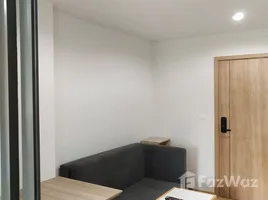 Condominium 1 chambre à louer à The Excel Hideaway Sukhumvit 71, Phra Khanong Nuea, Watthana, Bangkok, Thaïlande