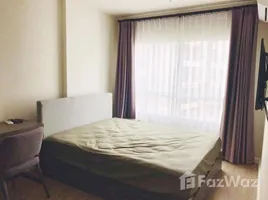 1 Schlafzimmer Wohnung zu verkaufen im Dcondo Rin, Fa Ham, Mueang Chiang Mai, Chiang Mai