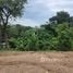  Land for sale in Chalong, Phuket, Chalong, Phuket Town, Phuket, Thailand