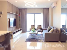 Studio Apartment for rent at Sunny Plaza, Ward 10, Go vap