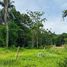  Land for sale in Talamanca, Limon, Talamanca, Limon