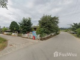  Земельный участок for sale in Wiang, Fang, Wiang