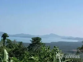 ขายที่ดิน ใน ป่าคลอก, ภูเก็ต, ป่าคลอก