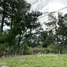  Terreno (Parcela) en venta en Boquete, Chiriquí, Palmira, Boquete