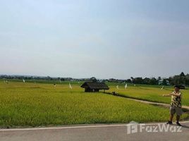  Земельный участок for sale in Чианг Рай, Mae Chedi, Wiang Pa Pao, Чианг Рай