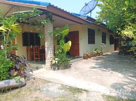 3 Bedroom House for sale in Thailand, Nong Don, Lam Plai Mat, Buri Ram, Thailand