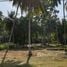  Land for sale in Phang Ka Beach, Taling Ngam, Taling Ngam