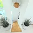 2 Bedroom Villa for rent at Triple Tree Villas Phuket, Rawai