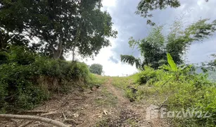 N/A Land for sale in Samoeng Tai, Chiang Mai 