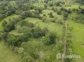  Terreno (Parcela) en venta en Alajuela, Upala, Alajuela