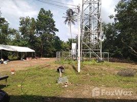  Terrain for sale in Chumphon, Lang Suan, Lang Suan, Chumphon