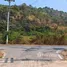  Land for sale in Pran Buri Prachuap Khiri Khan, Wang Phong, Pran Buri, Prachuap Khiri Khan