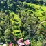  Terreno (Parcela) en venta en San José, Pérez Zeledón, San José