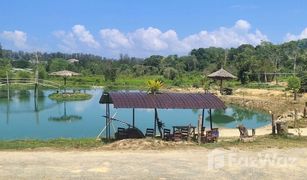 N/A Grundstück zu verkaufen in Sakhu, Phuket 