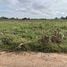  Land for sale in Nakhon Ratchasima, Takhop, Pak Thong Chai, Nakhon Ratchasima