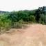  Terrain for sale in Phuket, Pa Khlok, Thalang, Phuket