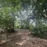 Land for sale in Bueng Ka Sam, Pathum Thani, Bueng Ka Sam, Nong Suea