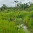  Terreno for sale in Amazonas, Rio Preto da Eva, Rio Preto da Eva, Amazonas