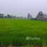  Terrain for sale in Yasothon, Sam Yaek, Loeng Nok Tha, Yasothon