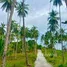  Land for sale in Taling Ngam, Surat Thani, Taling Ngam, Koh Samui
