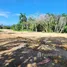 Terrain à vendre à San Felipe De Puerto Plata, Puerto Plata, San Felipe De Puerto Plata, Puerto Plata, République dominicaine