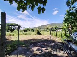 ขายที่ดิน ใน ทรายขาว, เชียงราย, ทรายขาว, พาน