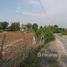  Land for sale in Nakhon Ratchasima, Sa Chorakhe, Dan Khun Thot, Nakhon Ratchasima