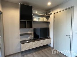 1 Bedroom Condo for rent at The Politan Aqua, Bang Kraso, Mueang Nonthaburi, Nonthaburi