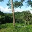  Land for sale in Nicoya, Guanacaste, Nicoya